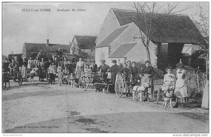 CPA SULLY SUR LOIRE - SELECTION