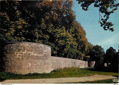 Carte Postale - 17 - Surgères - Les douves faisant partie de l'enceinte du château des Comtes de Surgères - CPM - Voir S