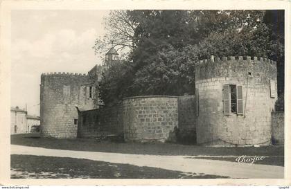 CPA SURGERES enceinte du Chatrau