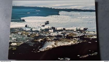 CPM TAAF TERRES AUSTRALES ET ANTARCTIQUES FRANCAISES  archipel POINTE GEOLOGIE GLACIER MISSION P EMILE VICTOR LYNA 307