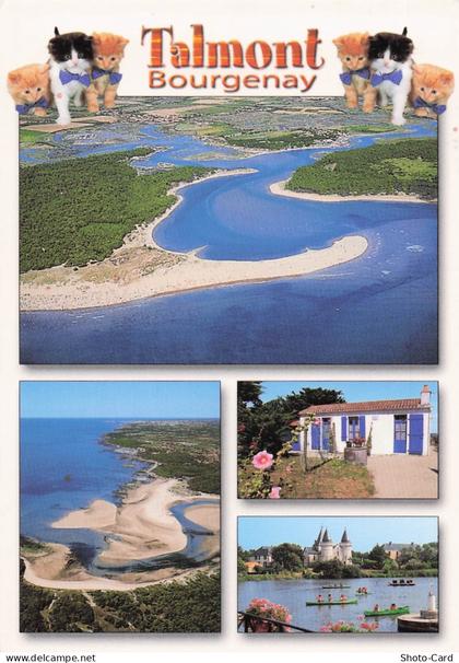 85 TALMONT SAINT HILAIRE TALMONT BOURGENAY