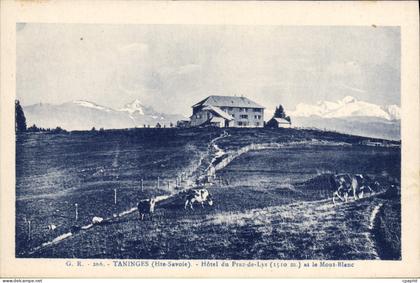 CPA Taninges Hotel Du Praz De Lys