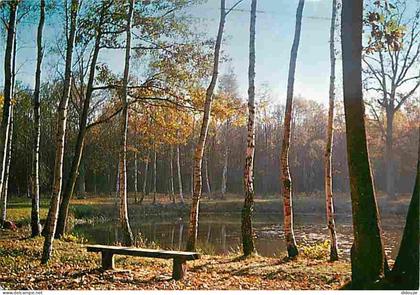 Carte Postale - 95 - Taverny - Foret de Taverny - L'étang Godard - CPM - Voir Scans Recto-Verso - Poscard - Carta Postal