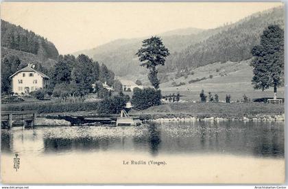 51598784 - Thaon-les-Vosges
