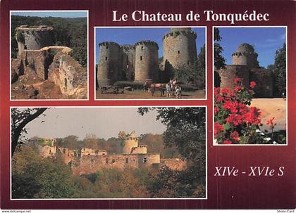 22 TONQUEDEC LE CHATEAU DE TONQUEDEC