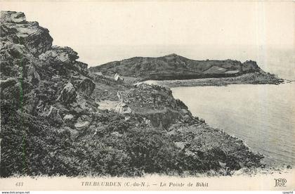 CPA Trebeurden La Pointe de Bihit