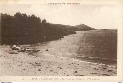 CPA Trebeurden La Pointe du Chateau et l'Ile Milliau