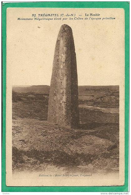 TREGASTEL N° 92 LE MENHIR MONUMENT MEGALITHIQUE ELEVE PAR LES CELTES DE L EPOQUE PRIMITIVE