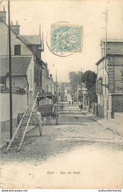 CPA Triel sur Seine 78/468