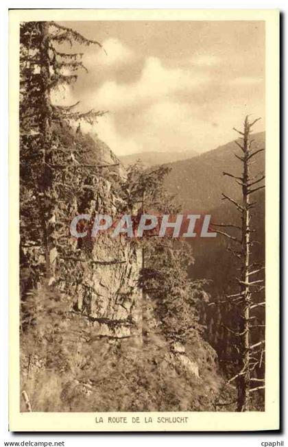 CPA Les Trois Epis La Route De La Schlucht