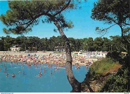 17 - Vaux sur Mer - La plage de Nauzan - Scènes de Plage - Flamme Postale - CPM - Voir Scans Recto-Verso