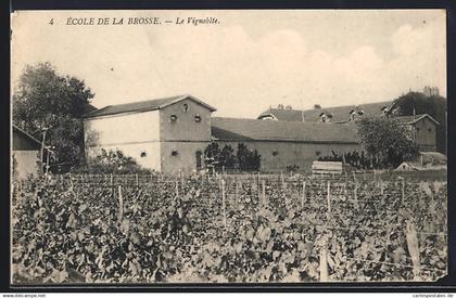 CPA Venoy, École de la Brosse, Le Vignoble