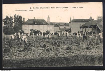 CPA Venoy, Société d`Agriculture de La Brosse, Yonne, Dans la vigne