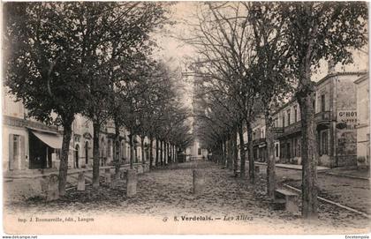 CPA  Carte Postale France  Verdelais  Les allées 1904   VM105375ok