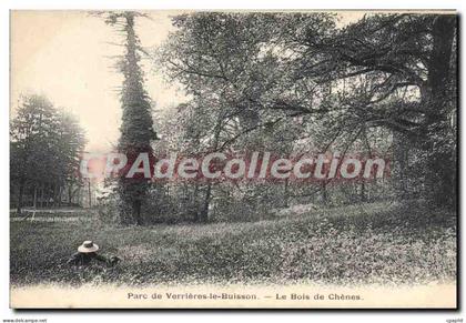 CPA Parc De Verrieres Le Buisson Le Bois De Chenes