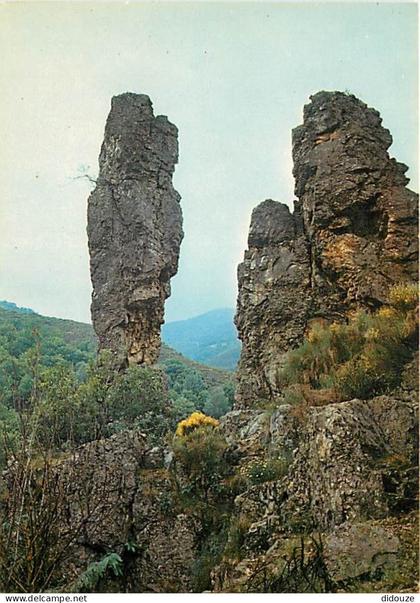 Carte Postale - 48 - Villefort - CPM - Voir Scans Recto-Verso - Poscard - Carta Postal -  Postkarte