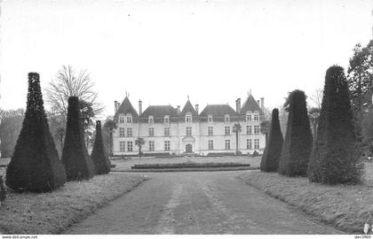 VILLENEUVE-de-MARSAN (Landes) - Le Château de Ravignan