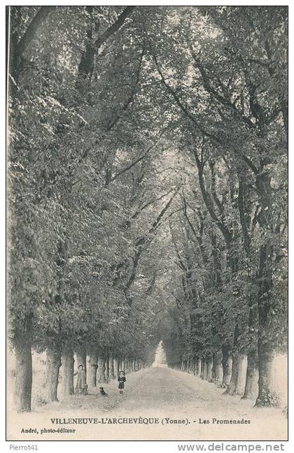 VILLENEUVE L'ARCHEVEQUE - Les Promenades