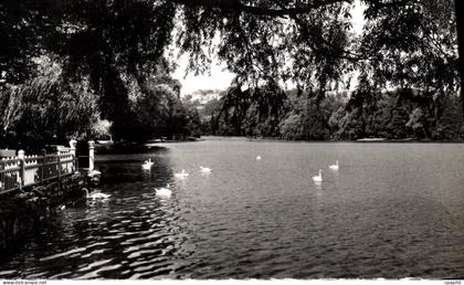 CPM Lyon Villeurbanne Le Lac Parc de la Tete d'or