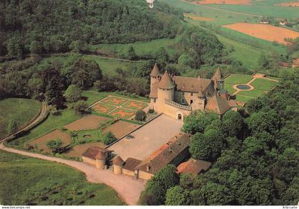 38 VIRIEU CHATEAU DE VIRIEU