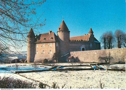 CPM Chateau de Virieu (Isere) XIe XVIIIe Siecles