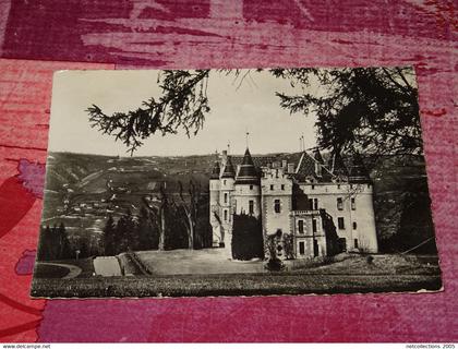 VIRIEU-SUR-BOURBRE - CHATEAU DES PUPETIERES  - 38 ISERE (C.A)