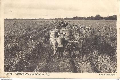 CPA Vouvray-les-Vins Les Vendanges