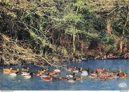 18 VOUZERON ENVIRONS DE VOUZERON