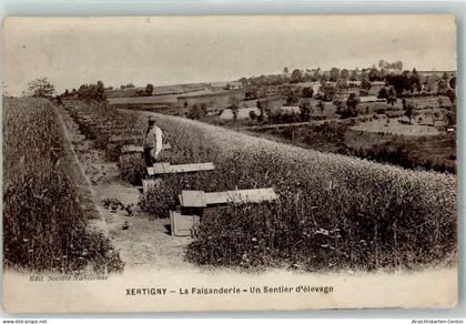 13946210 - Xertigny