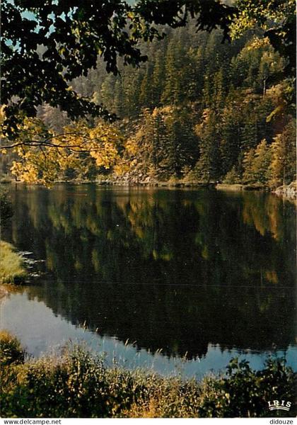 88 - Xonrupt-Longemer - Le Lac de Retournemer - Carte Neuve - CPM - Voir Scans Recto-Verso