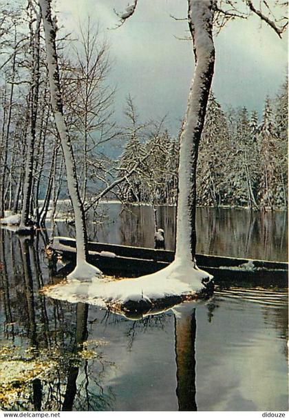 Carte Postale - 88 - Xonrupt-Longemer - Les Rives du Lac de Longemer - Hiver - Neige - Carte Neuve - CPM - Voir Scans Re