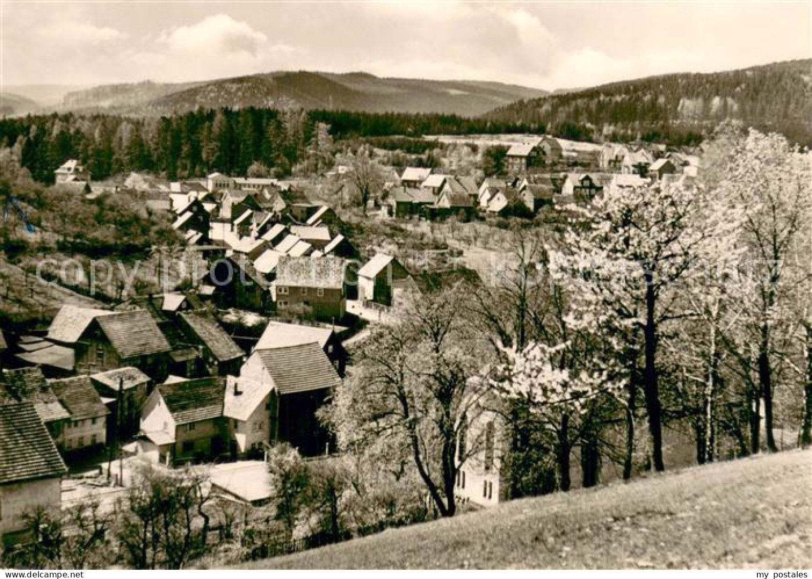 Frankenhain Thueringen Panorama