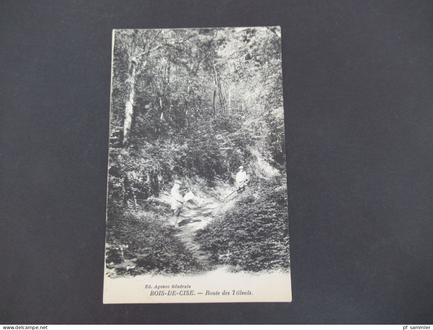 Frankreich 1927 AK BOISE DE CISE Route des Tilleuls / Editeur Agence Generale / Waldarbeiter mit Sense