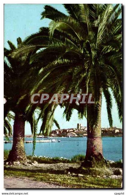 Antibes CPM Vue sur la vieille ville