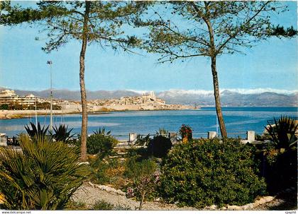 CPA Cote d'Azur Antibes Vue sur la Vieille Ville et les Alpes neigeuses