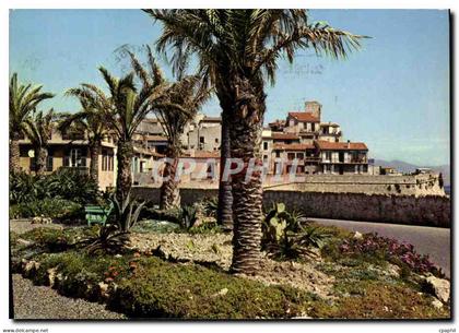 CPM Antibes La Vieille Ville Les Jardins et les Remparts