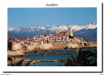 CPM Cote d'Azur Antibes La vieille ville et ses remparts