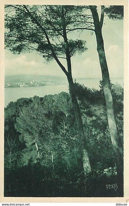 Carte Postale Ancienne - 06 - Antibes - Les Remparts - Les vieux remparts vus du cap - CPA - Carte Neuve - Voir Scans Re