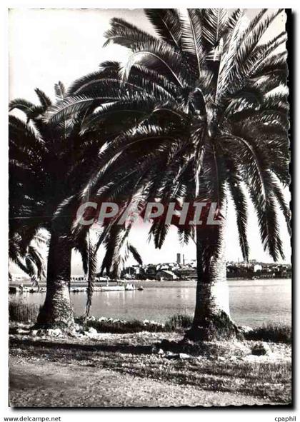 CPM Antibes Vuesur la vieille ville