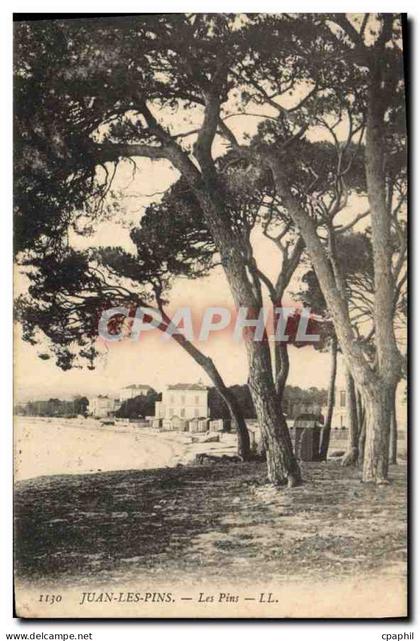 CPA Juan les Pins Les Pins