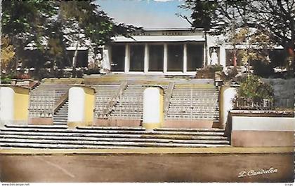 CPSM Guadeloupe Basse-Terre Le Conseil Général