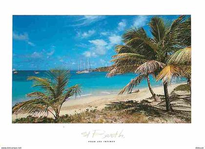 Carte Postale - Guadeloupe - Saint Barthelemy - Colombier - CPM - Voir Scans Recto-Verso - Poscard - Carta Postal -  Pos