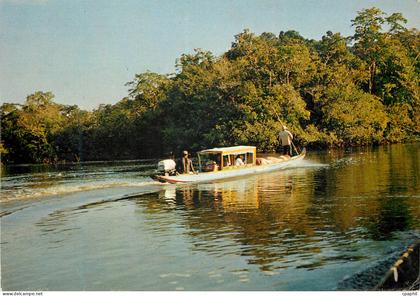 CPM Guyane Francaise et Surinam Haut Maroni Pirogues de Touristes
