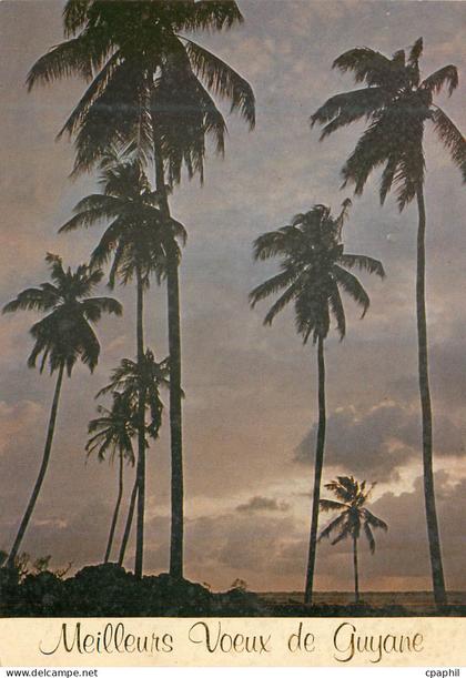 CPM Guyane Francaise Meilleurs Voeux de Guyane