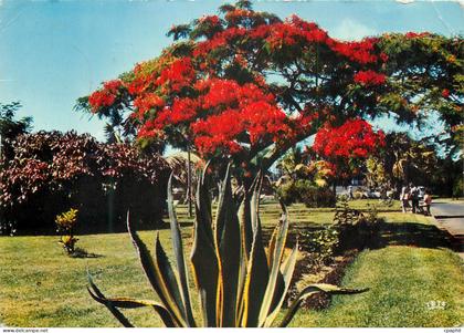 CPM La Reunion Saint Pierre Flamboyant
