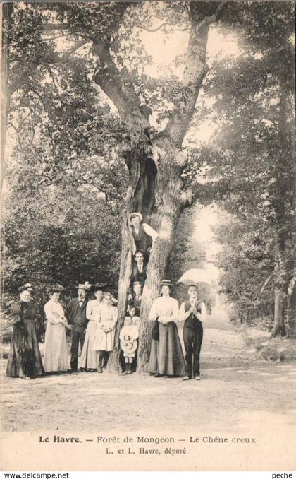 N°122697 -cpa Le Havre -forêt de Montgeon -le chêne creux-