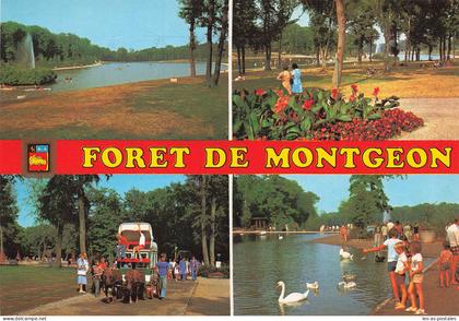76 LE HAVRE LA FORET DE MONTGEON