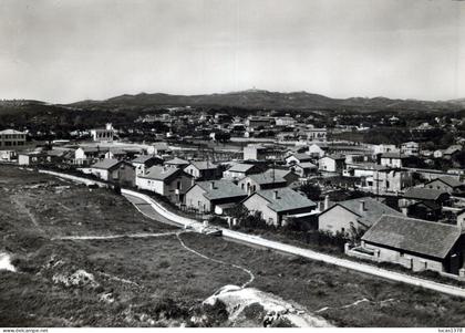 13 / MARSEILLE / LE MERLAN / LOTISSEMENT LES VENTS / RARE CPSM ++