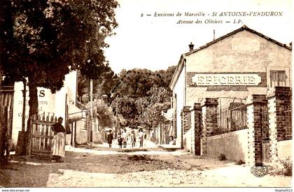 FRANCE. Carte postale écrite. Saint Antoine-Verduron/Avenue des Oliviers.