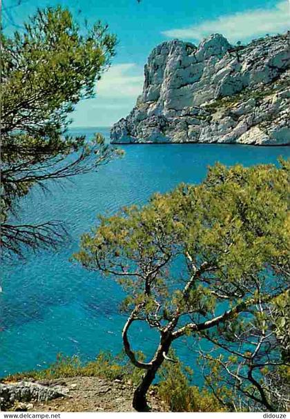 13 - Marseille - Les Calanques - Sormiou - La Pointe - Cap Redon - CPM - Voir Scans Recto-Verso